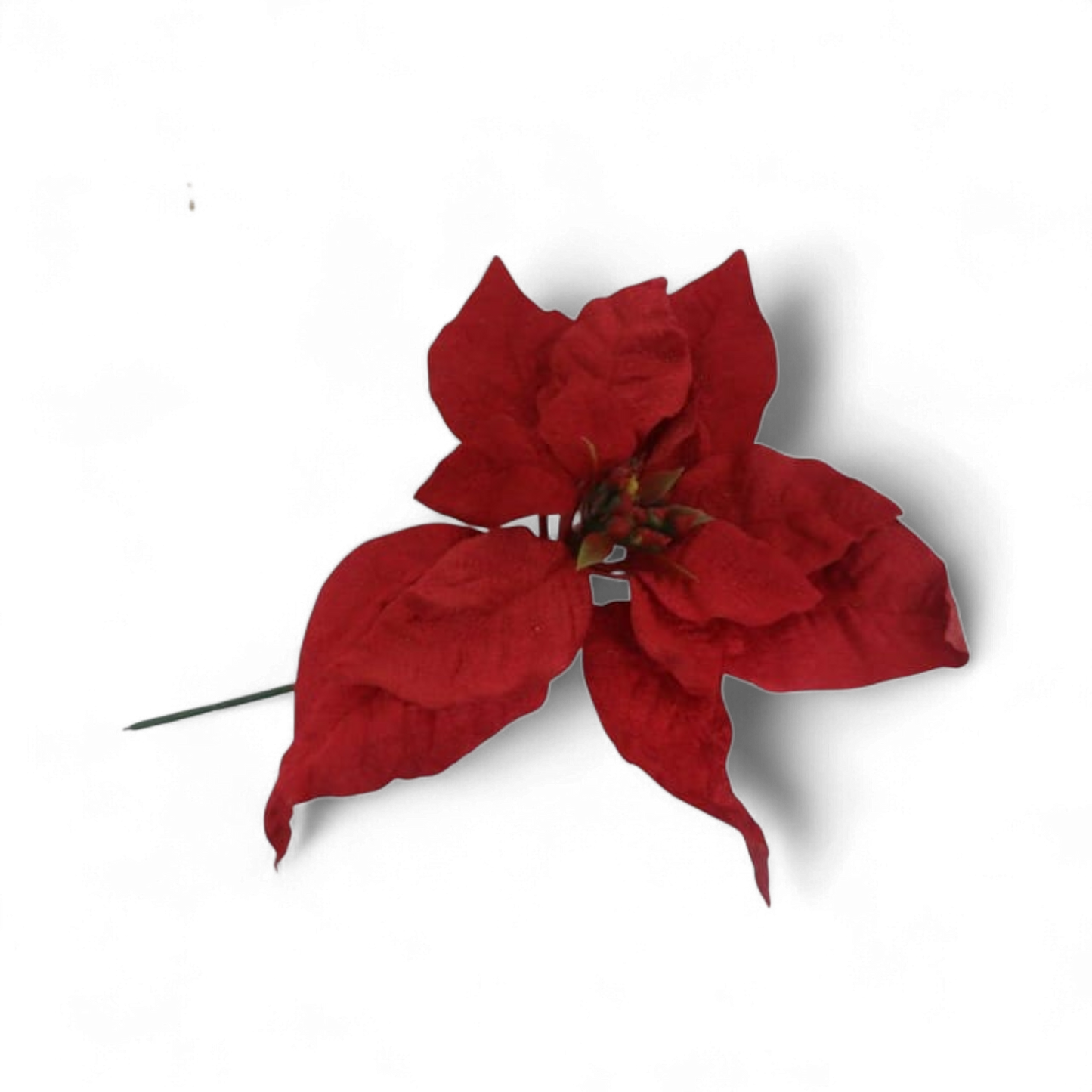 Red Velvet Poinsettia Flower Stem