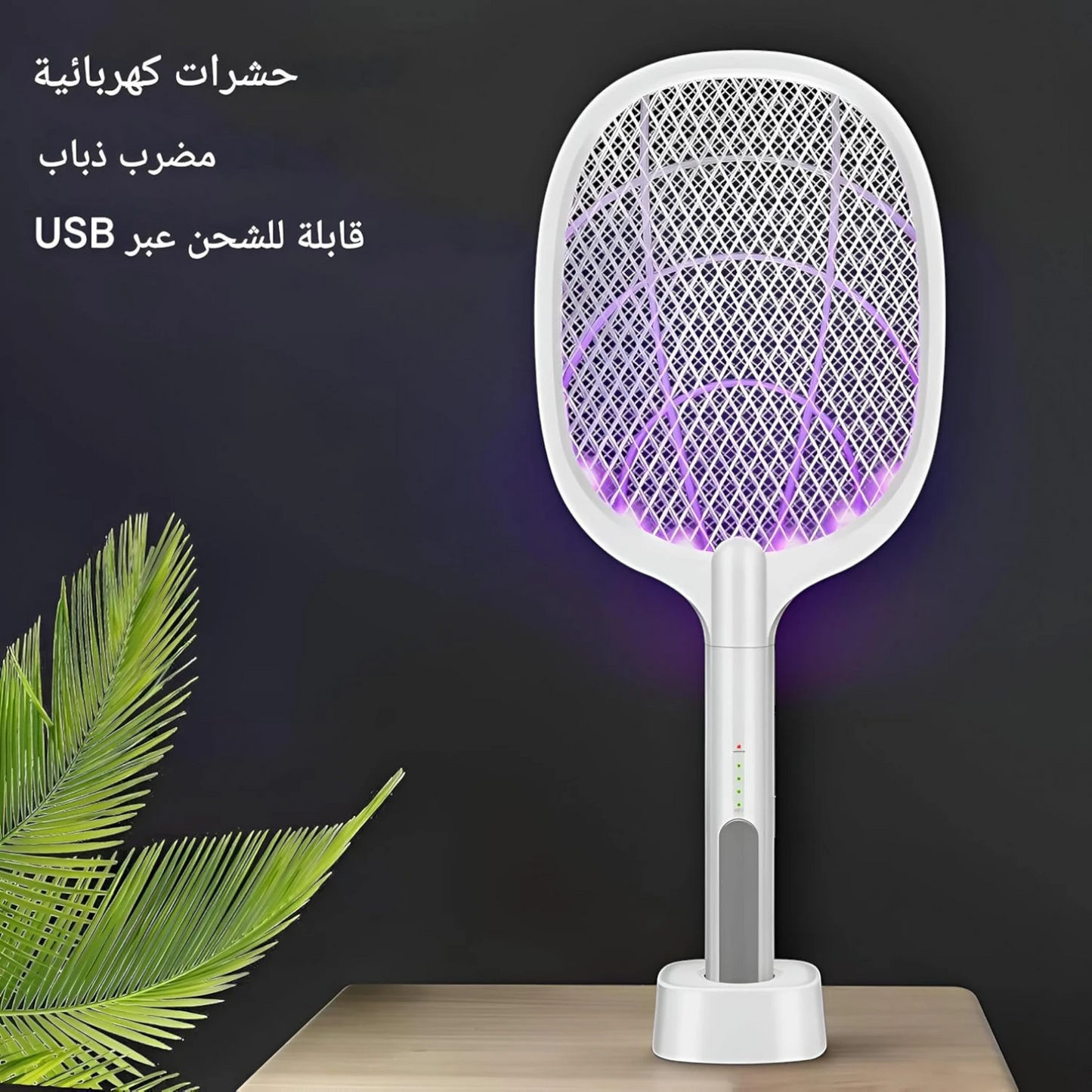 Verotti 2-In-1 Electric Mosquito Killer SD-710