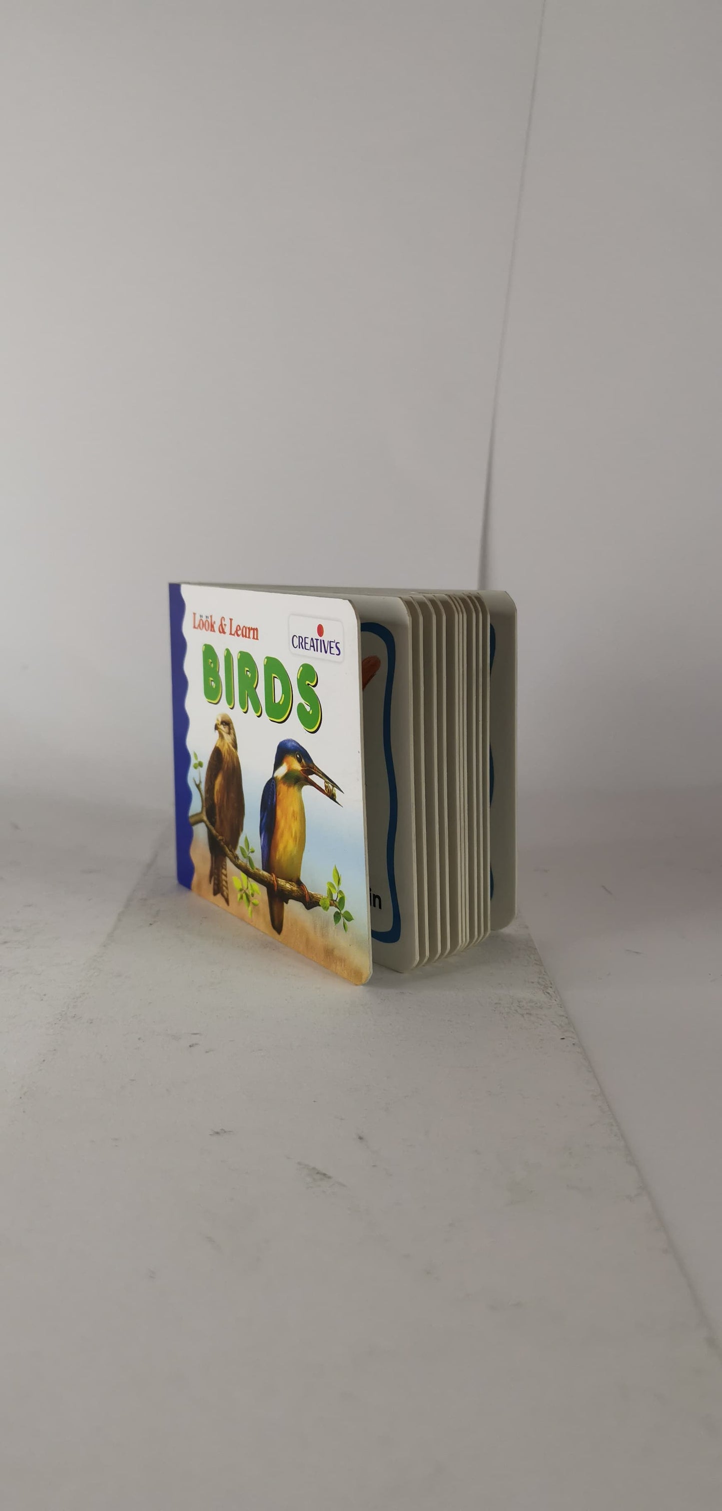 Look and Learn Birds Book